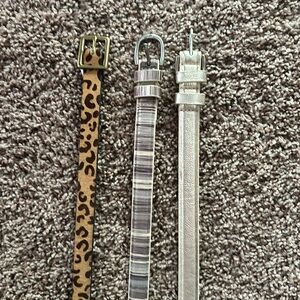 Assortment of women’s belts